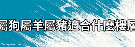 屬豬適合的樓層|【屬豬樓層】屬豬之人的樓層風水，助你運勢亨通，財富滾滾來